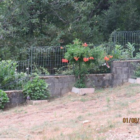 L'Altore Di Savaghju Vivario  Екстериор снимка
